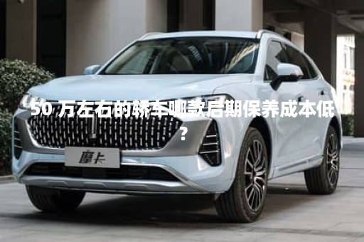 50 万左右的轿车哪款后期保养成本低？