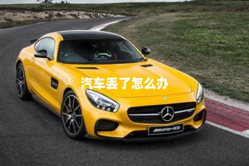 汽车丢了怎么办