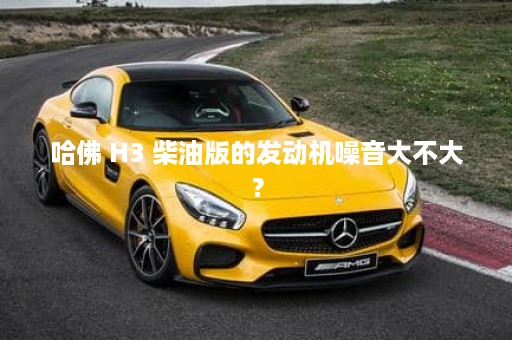 哈佛 H3 柴油版的发动机噪音大不大？