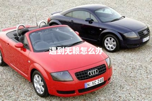 遇到无赖怎么办