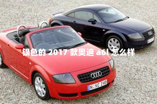 银色的 2017 款奥迪 a6l 怎么样