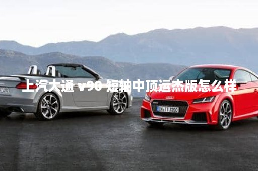 上汽大通 v90 短轴中顶运杰版怎么样